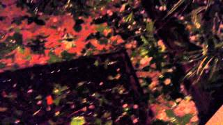 Video 2 of Hail in Angleton Tx 04/17/15