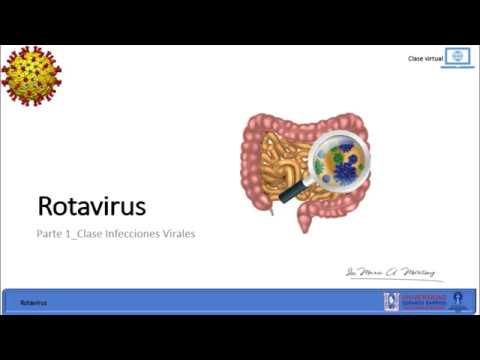 Clase 8 Part1 Rotavirus