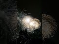 Magic Kingdom Afterhours Fireworks / ディズニーワールドのアフターアワーズってお得なの?