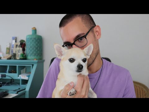 Difficulties Navigating Loneliness, Anxiety & Pressures of Society (ASMR Life Advice)