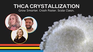Mastering THCA Crystallization | Scale Faster, Increase Purity & Improve Yields