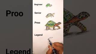 how to draw turtle 🐢 | beginner senior pro legend #shorts #drawing #art #viral
