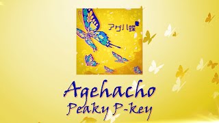 Agehacho(アゲハ蝶 Swallowtail Butterfly)| D4DJ | Cover | Peaky P-key | [KAN/ROM/ENG] |Color Coded Lyrics