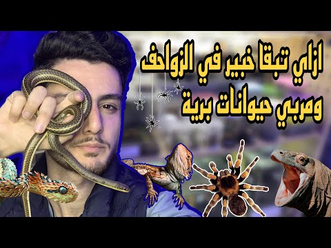 حكايتي مع تربية الحيوانات البرية والخطيرة الزواحف والعناكب والعقارب أدهم هاني  