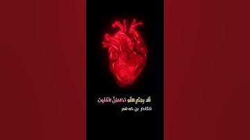 قرآن الكريم بصوت رعد محمد الكردي اجمل حالات واتس اب دينية سورة الرعد 🌼💙
