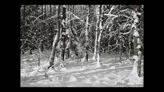 ACIM Lesson 31 - I am not the victim of the world I see.