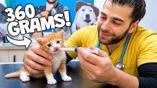 This 1-Month-Old Kitten Was Found Alone… He Could Barely Walk