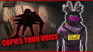 MODDED LETHAL COMPANY IS TERRIFYING... (Skinwalkers, Emotes, Mimics,..)