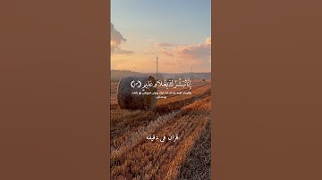قران كريم ارح قلبك وسمعك #قران_في_دقيقة #رعد_الكردي #quran #قرآن @قران_في_دقيقة