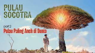 SOCOTRA, PULAU PALING ANEH DI ANTARA BENUA AFRIKA DAN ASIA PART 2