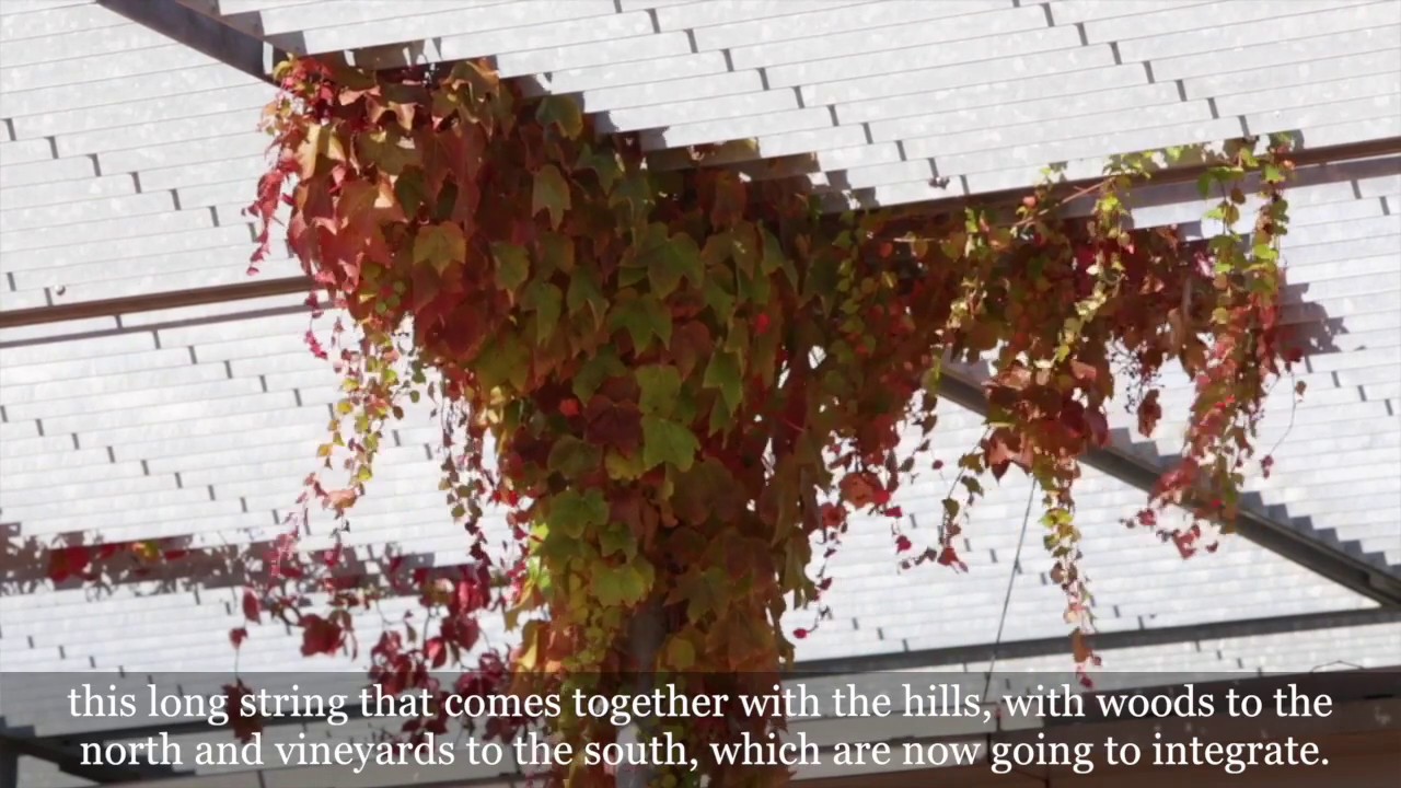 Rocca Beaubourg | 10 anni di Rocca di Frassinello (2007-2017)