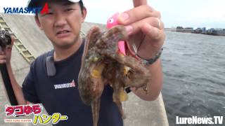 タコゆらハンター関連の岸ダコアイテム一挙紹介 Youtube