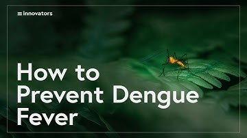 Dengue fever treatment: Predicting a Dengue fever outbreak 6 months in advance