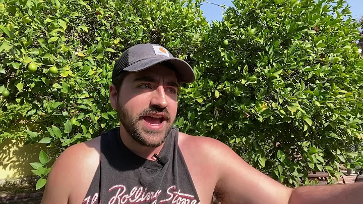 Liberal Redneck - Yellin Bout Ellen