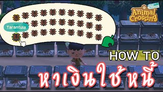 【HOW TO】 หาเงินใช้หนี้ ง่ายๆใครๆก็ทำได้ Animal Crossing: New Horizons