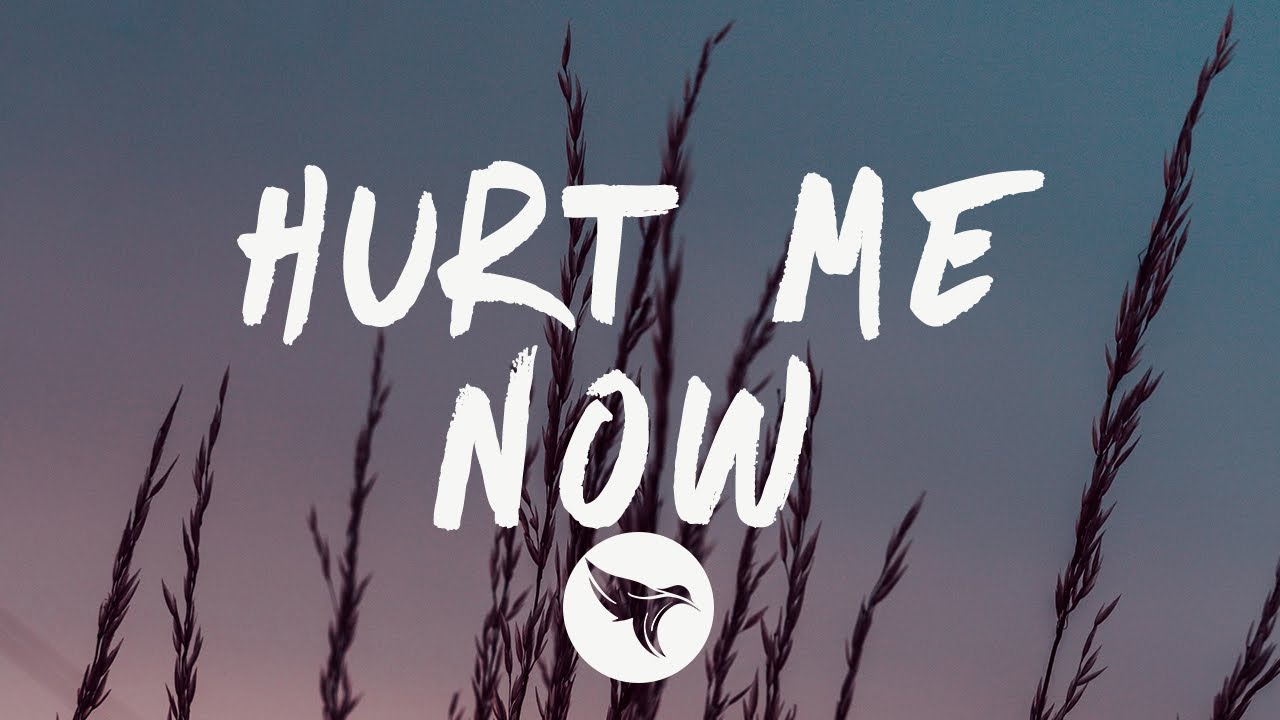 Hurt Me Now Quinn Lewis Lyrics