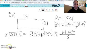 Write Algebraic Expressions to Model Situations