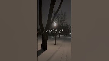 تلاوة نادرة للشيخ ياسر الدوسري بصوت حزين من سورة النمل 😔💔