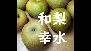 【レビュー】幸水（千葉県産和梨）と梨話