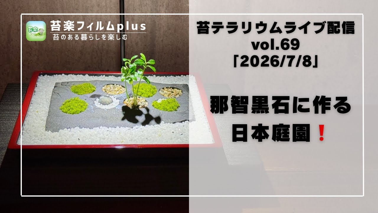 那智黒石に作る日本庭園❗️】苔テラリウム作りLive 苔楽フィルムplus