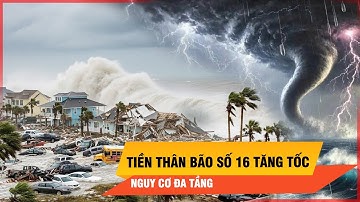 Nóng: Tiền thân bão số 16 tăng tốc, nguy cơ đa tầng ập xuống vùng rộng lớn | Thời sự