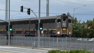Eastbound Capital corridor train stop at great America station, CDTX 8302