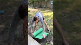 I hope this can be the solution to my bare spots #lawncare #lawn #grass #grasstok #yardwork #grass