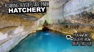 Roaring River State Park Hatchery | The Most Unique Natural Spring Fed Hatchery I Have Ever Seen!