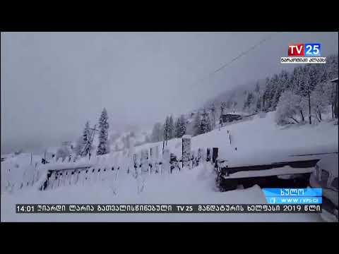 დიდთოვლობის გამო ხულოს რამდენიმე სოფელს ელექტროენერგიის მიწოდება შეუწყდა