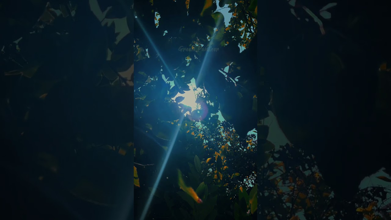 YOU CAN ALSO EDIT THSI TYPE OF VIDEO #cinematic #nature #shorts