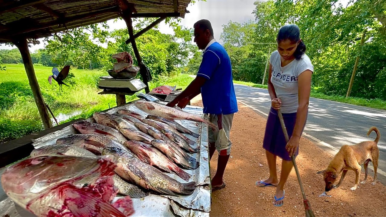 HERO! The Incredible Master Skills of Sri Lanka's Village Fisherman