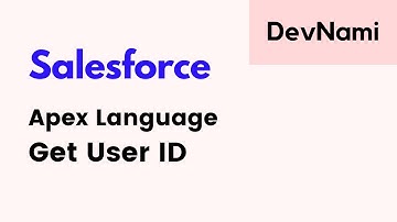 Salesforce Developer  - How to Get User ID Apex Language