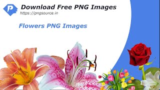 Download Flowers PNG Images - Pngsource screenshot 4