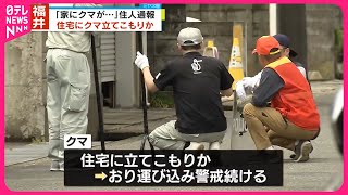 【クマ】住宅に立てこもりか「家にクマが…」住人通報  福井市
