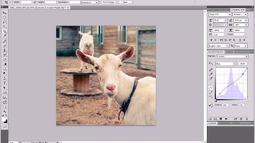 Photoshop: Lomography Effect