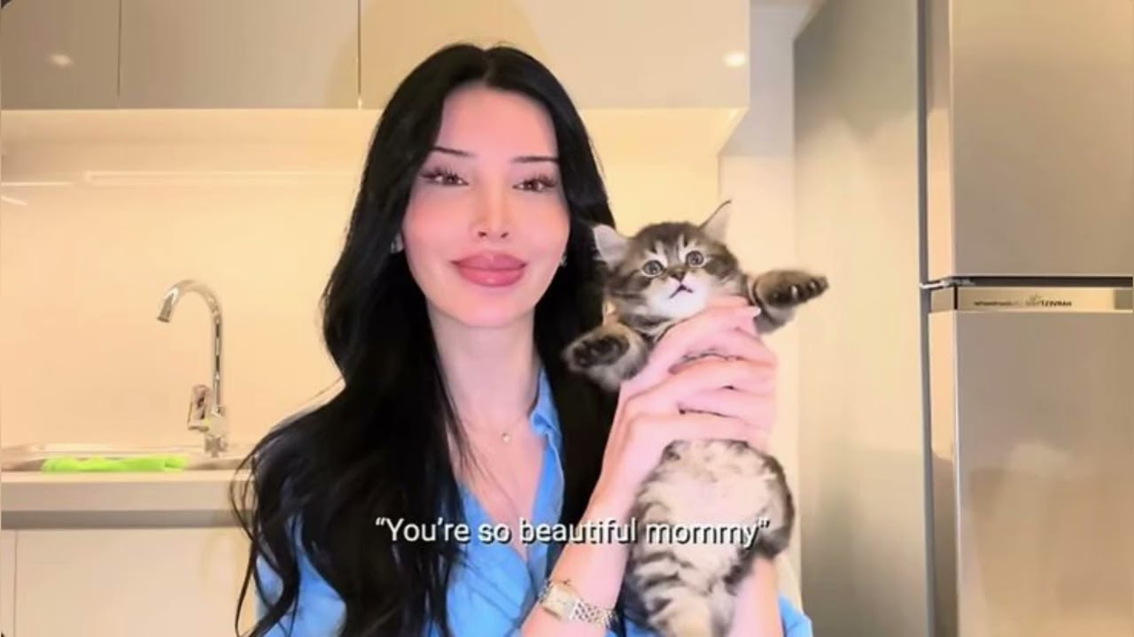 The Wizardliz Effect Subliminal