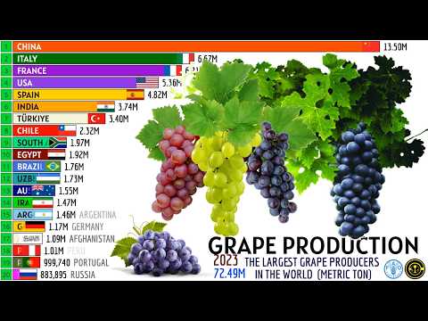 THE LARGEST GRAPE