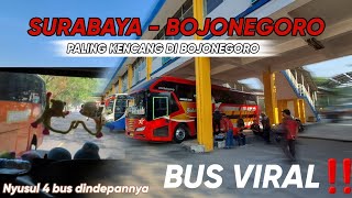 DI JALUR INI BUSNYA BERNYALI SEMUA‼️ Trip PO Bintang Mas Surabaya - Bojonegoro