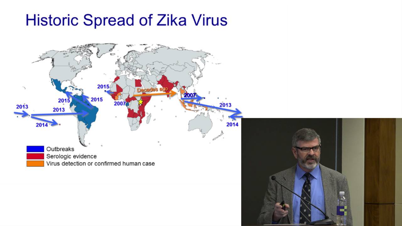 Zika Virus: What Is It and Can We Stop It?