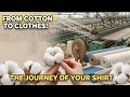 How Clothes Are Made From Cotton Full Production Line Explained