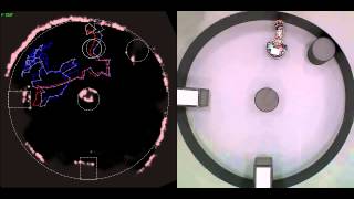 Simultaneous localisation and mapping on a multi-degree of freedom biomimetic whiskered robot