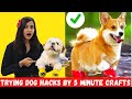 Trying Cute PET HACKS by 5 MINUTE CRAFTS to Make your Life Easier 🤣