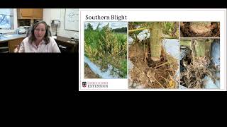 '21 SIM LIVE of Hemp Disease Updates for Georgia