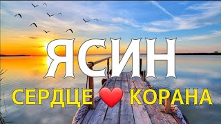 Сура Ясин От Всех Ваших Проблем! Ин Шаа Аллах!! 🎧❤🤲🤲✅