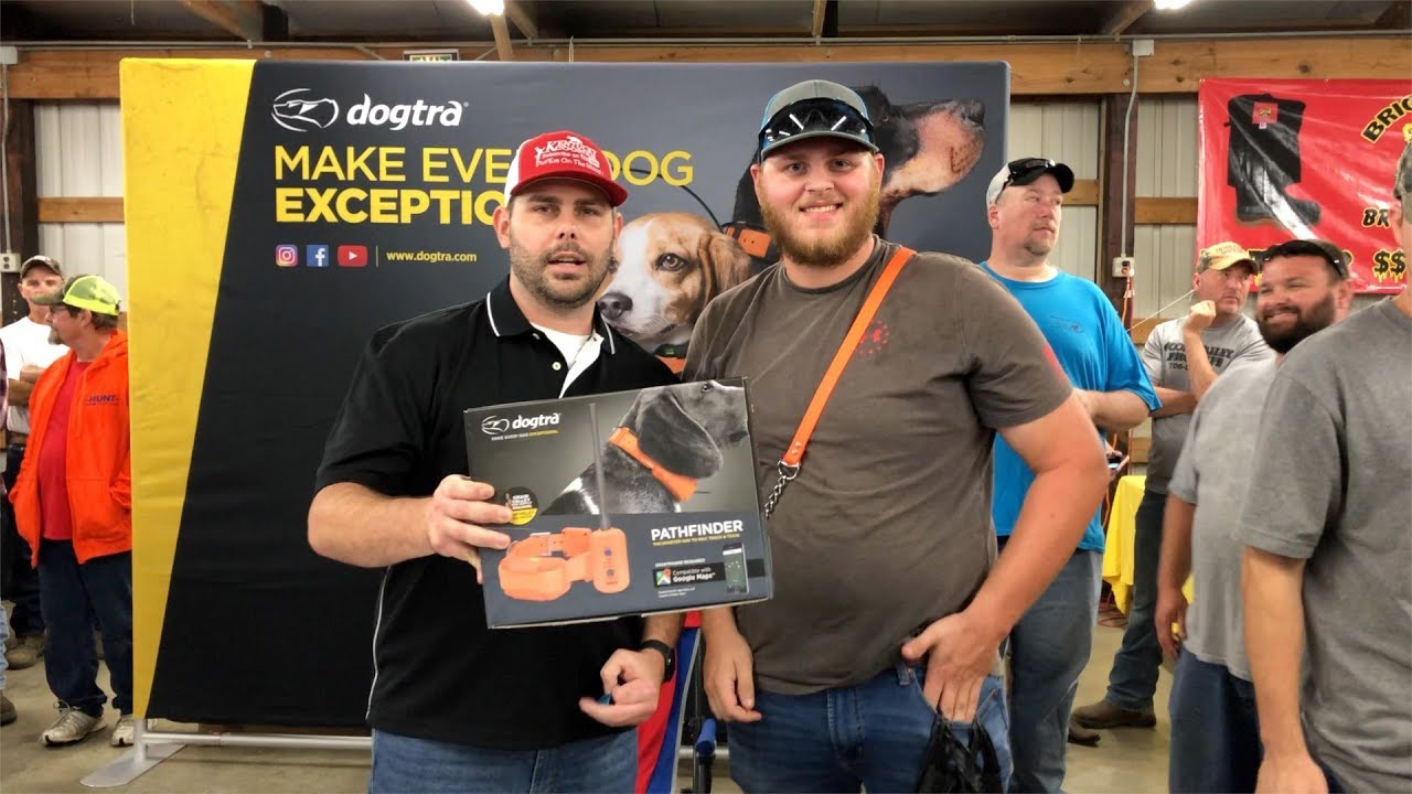 ukc autumn oaks 2019