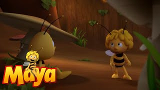 Night Flight - Maya the Bee - Episode 60