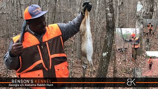 Georgia vs Alabama Rabbit Hunt | Benson's Kennel by Benson's Kennel 11,266 views 1 year ago 23 minutes