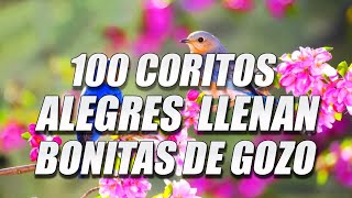 Coros Viejitos Pero Bonitos  Coros Pentecostales  Mas De 100 Coros Avivamiento Pentecostal