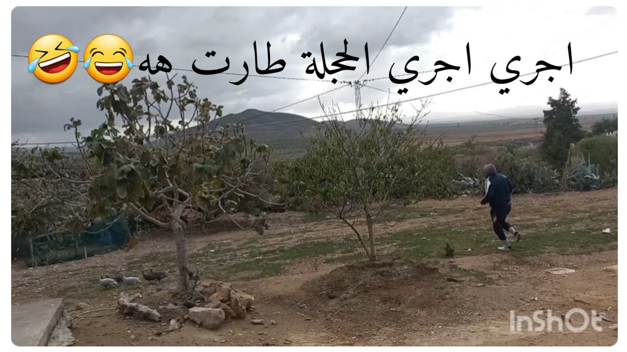نهار علينا اليوم هههه بش شدينا الحجلة 🦃🐓...كي يبدا نهار بارد في الريف كيفاه يتعدا