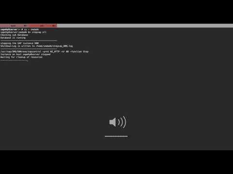 How to start stop SAP on Linux